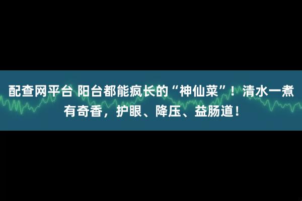 配查网平台 阳台都能疯长的“神仙菜”！清水一煮有奇香，护眼、降压、益肠道！