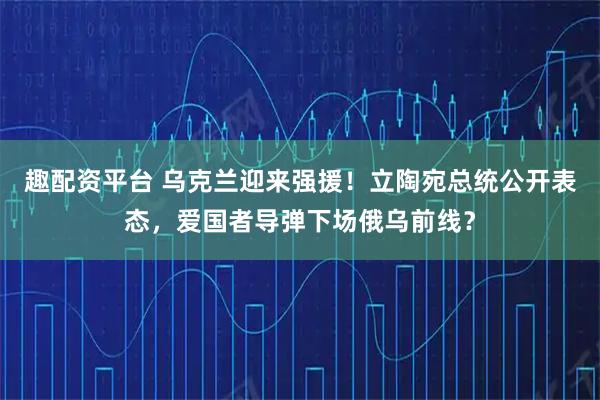 趣配资平台 乌克兰迎来强援！立陶宛总统公开表态，爱国者导弹下场俄乌前线？