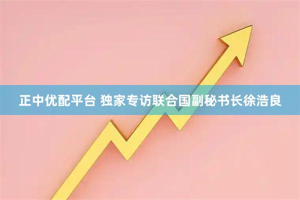 正中优配平台 独家专访联合国副秘书长徐浩良